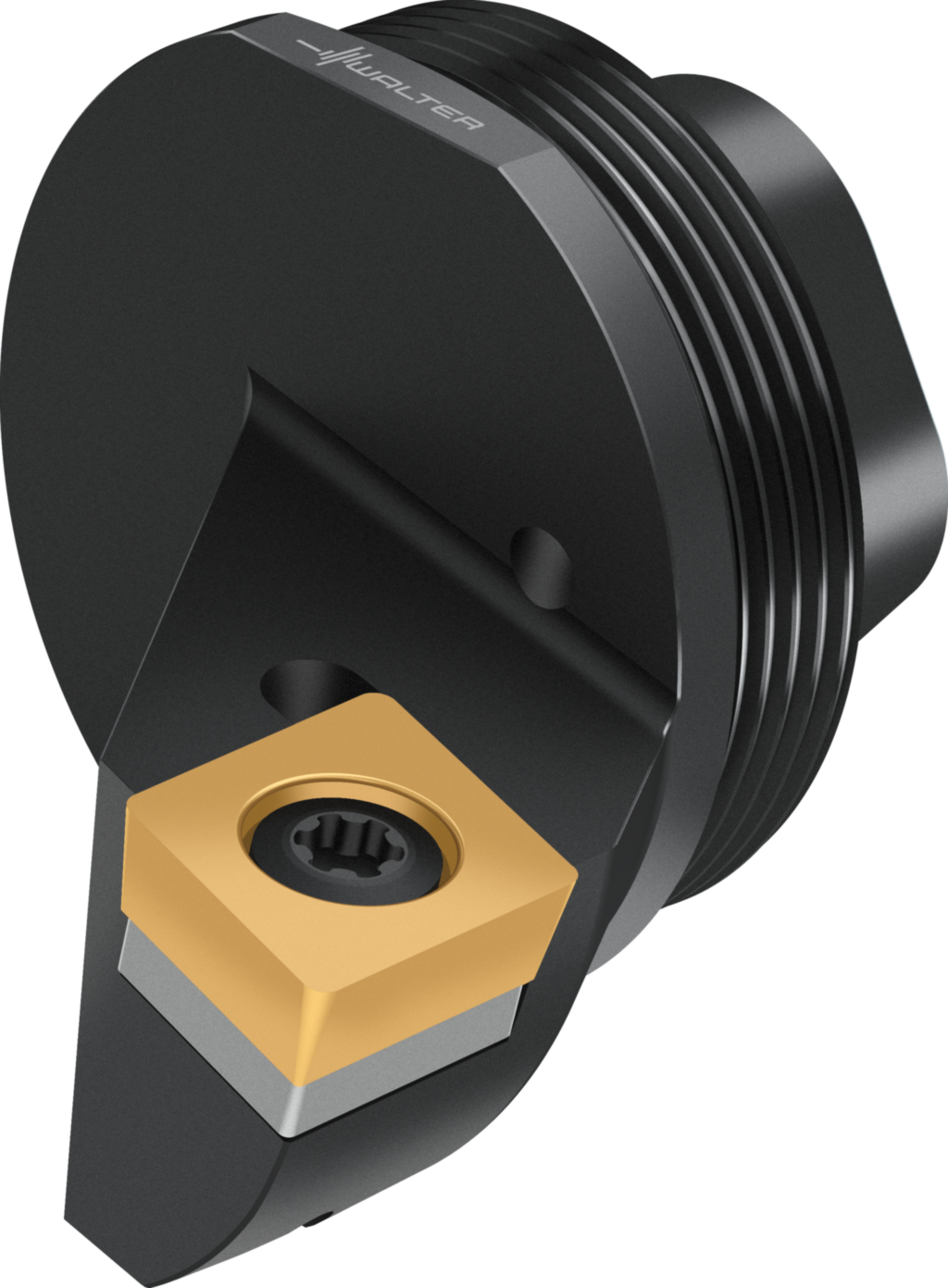 Replaceable head – screw clamping