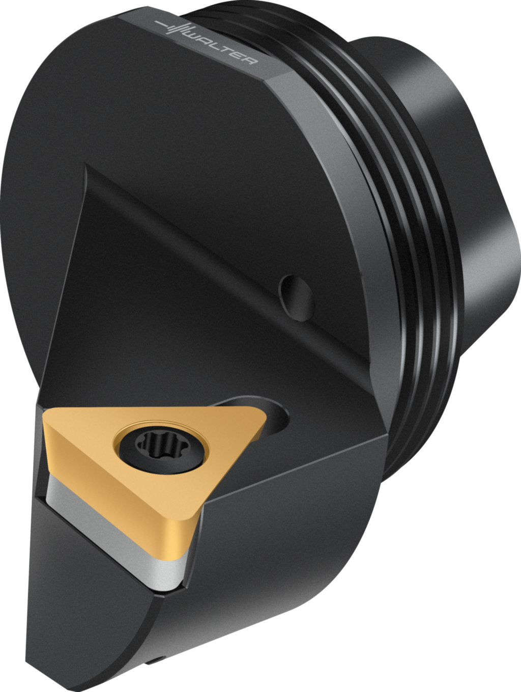 Replaceable head – screw clamping