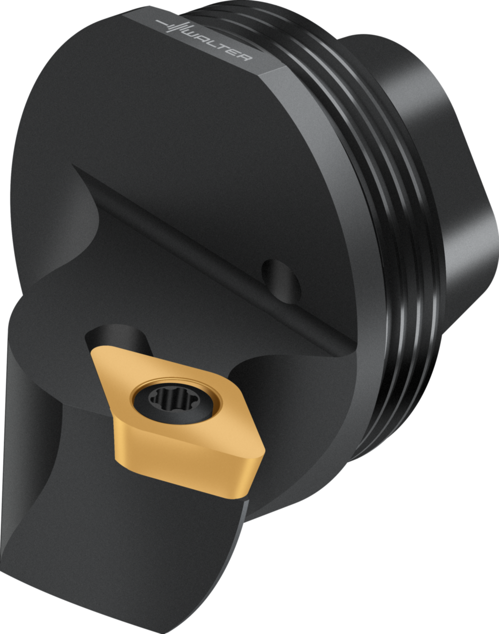Replaceable head – screw clamping