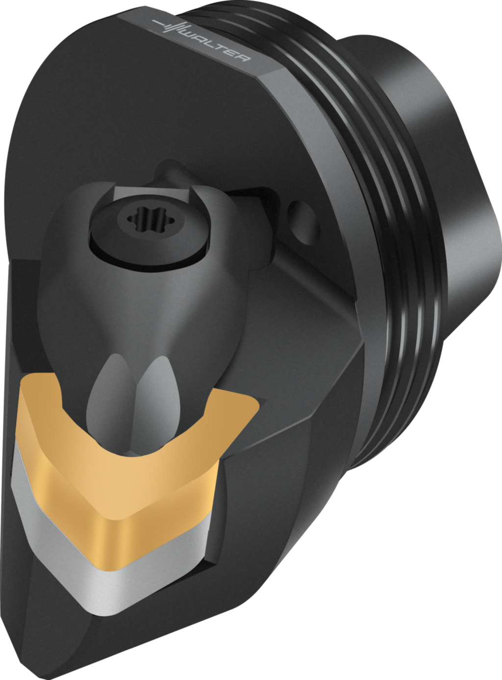 Replaceable head – rigid clamping