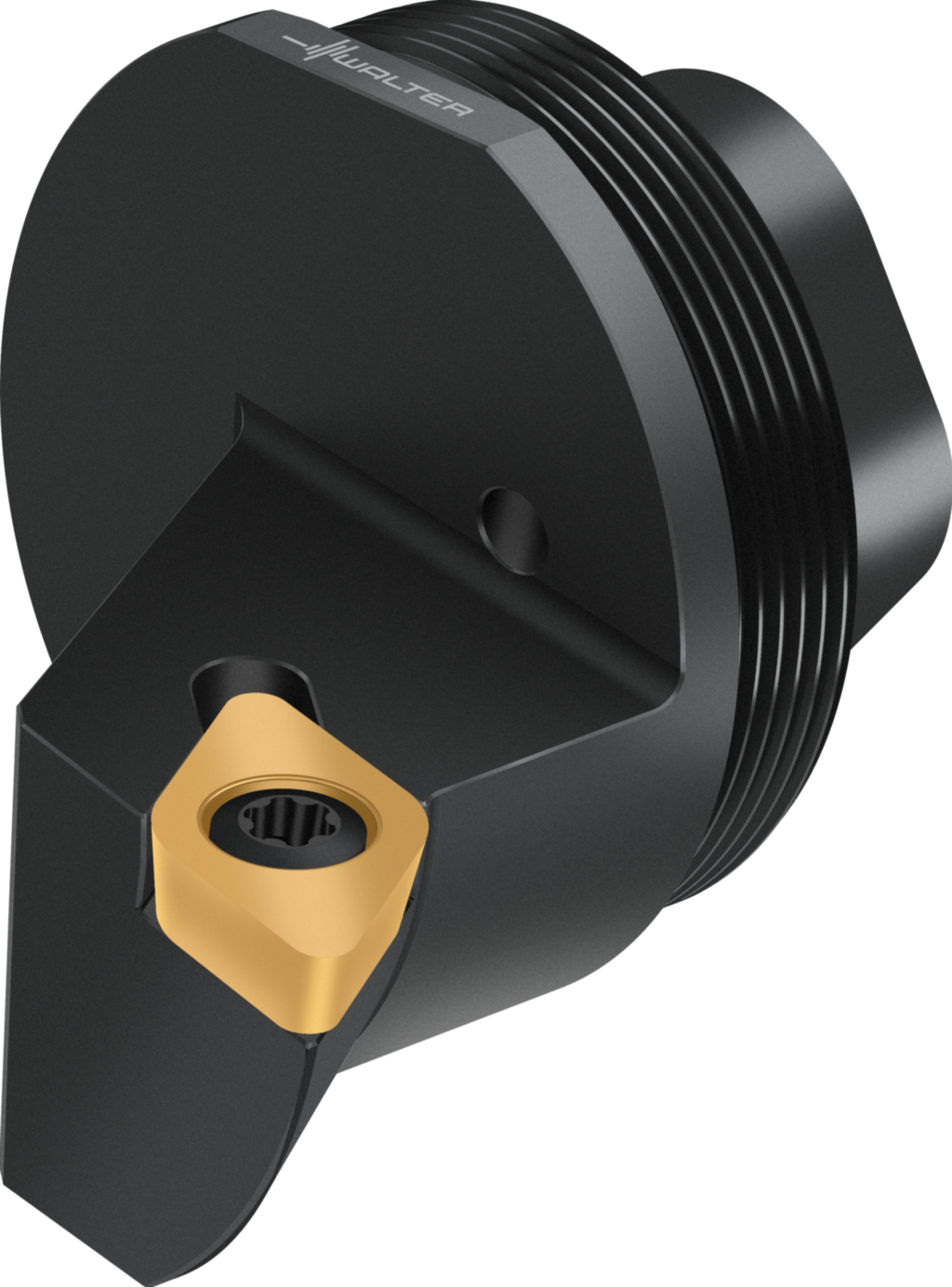 Replaceable head – screw clamping